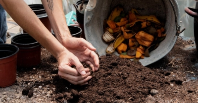 Técnico Auxiliar en Abonos Orgánicos y Bioinsumos para cultivos ecológicos (Premium con Doble Certificación)