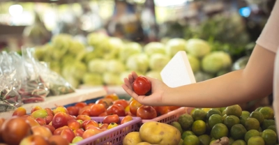Microbiología e inocuidad Alimentaria (Premium con Doble Certificación)