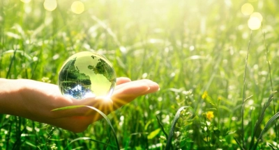 Capacitación en Ecosistemas Ecológicos