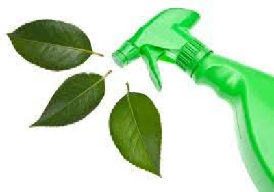 Capacitación en Limpiadores Ecológicos con Plantas
