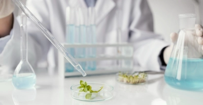 Diplomatura en Biotecnología Industrial