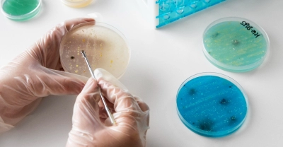 Diplomatura en Laboratorio de Anatomía Patológica + IA (Premium con Doble Certificación)