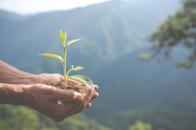 Capacitación en Biodiversidad y el medio natural