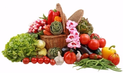 Recolección, Almacenamiento y Transporte de Flores y Hortalizas