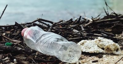 Curso de Recuperación de sitios contaminados, impacto en los ecosistemas y la salud humana