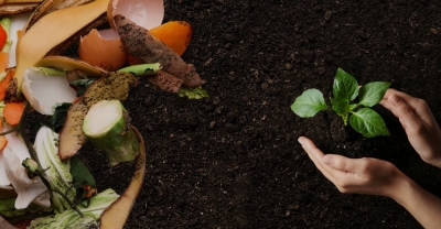 Curso de Abonos Orgánicos y Bioinsumos + IA (Premium con Doble Certificación)