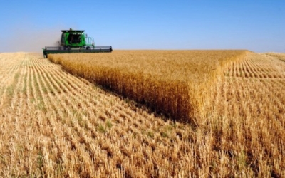 Diplomatura en Agronegocio (Premium con Doble Certificación)