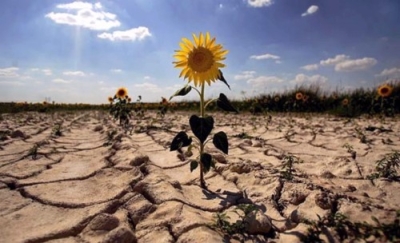 Capacitación en Impacto Ambiental