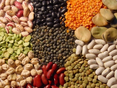Capacitación en Clasificador de Cereales