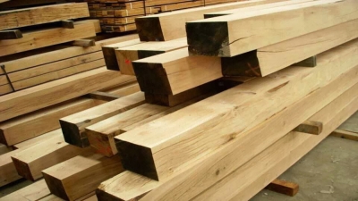Capacitación en Madera como material para la construcción