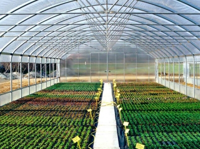 Técnico Auxiliar en Viveros y Huertas Urbanas Ecológicas