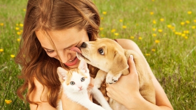 Capacitación en Sanidad y Ropa de Canino y Felino
