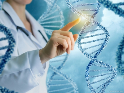 Técnico Auxiliar en Genética y Biología Molecular