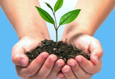 Técnico Auxiliar en Gestión, Protección y Conservación de Espacios Naturales (Premium con Doble Certificación)