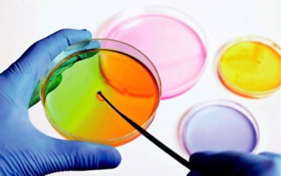 Capacitación en Microbiología