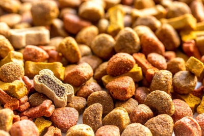 Capacitación en Elaboración de Alimentación Animal