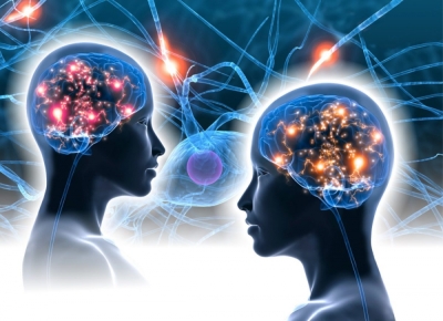 El Cerebro y las Emociones en el Lenguaje