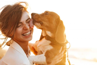Capacitación en ¿cómo influyen las mascotas en nuestras emociones?