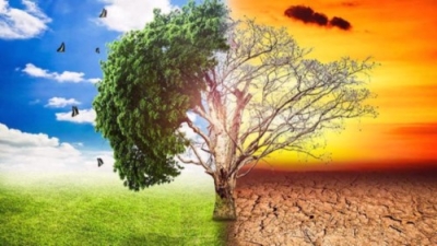Diplomatura en Cambio Climático