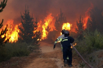 Especialista en Incendios Forestales