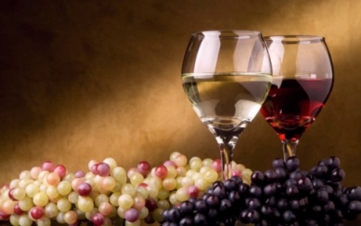 Diplomatura en Viticultura, Enología y Cata