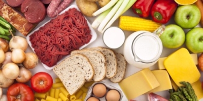 Dieta a base de Nutrientes, Proteínas y Minerales + IA