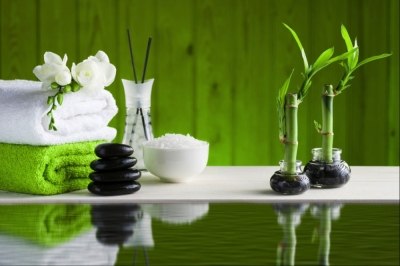 Capacitación en Feng Shui y su Aplicación en el Diseño, la Arquitectura, la Decoración