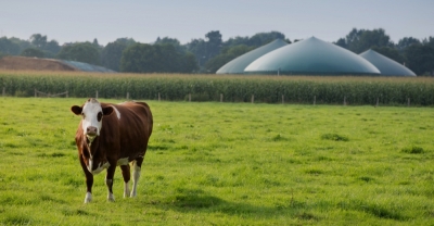 Curso de Biogás y Biodigestores