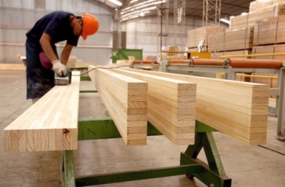 Capacitación Forestal y en Industria de la Madera