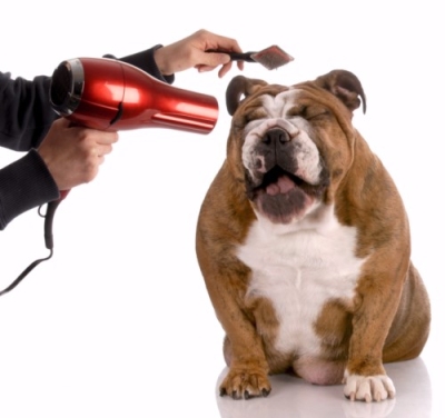 Peluquería y Estética Canina