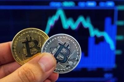 Certificación en Criptomonedas