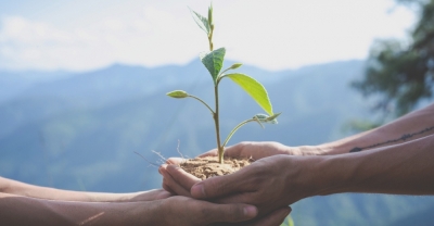 Técnico Auxiliar en Gestión, Manejo y Conservación de Biodiversidad