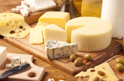Elaboración de Quesos Artesanales y Productos Lácteos
