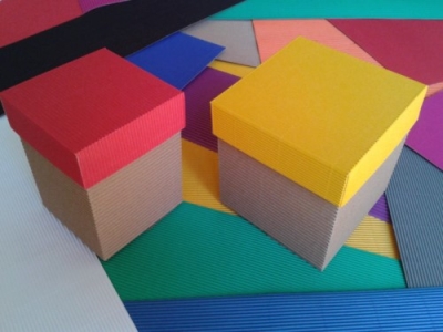 Capacitación en Cajas y Artesanias en Cartón