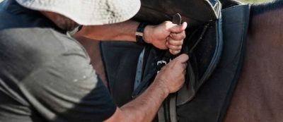 Técnico Auxiliar en Preparación e higiene de Caballos Semental, de Exposición, Carreras, Salto y de Polo (Premium con Doble Certificación)