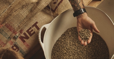 Técnico Auxiliar en Producción y comercialización de Café, Té y Yerba mate + IA (Premium con Doble Certificación)