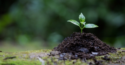 Diplomatura en Biodiversidad y Conservación del Medio Natural