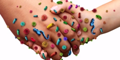 Técnico Auxiliar en Microbiología, Bacteriología y Enfermedades Infecciosas