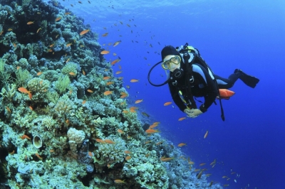 Técnico Auxiliar en Oceanografía (Premium con Doble Certificación)