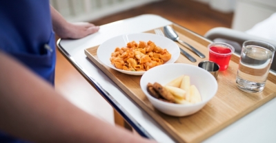 Platos y Comidas para Hospitales y Sanatorios + IA (Premium con Doble Certificación)