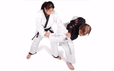 Capacitación en Artes Marciales