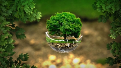 Técnico Auxiliar en Gestión Ambiental y Desarrollo Sustentable (Premium con Doble Certificación)